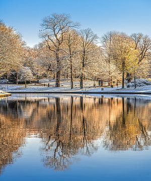 De gekleurde winterzon door de bomen in het stadspark van Leeuwarden, de Prinsentuin. van Harrie Muis