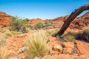 Kings Canyon - Australien von Troy Wegman