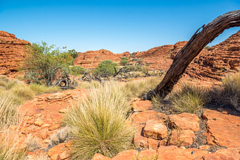 Kings Canyon - Australie