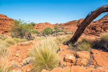 Kings Canyon - Australia by Troy Wegman