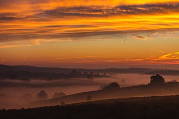 Zonsopkomst op de Veluwe