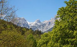 Alpenlandschap van Bo Valentino