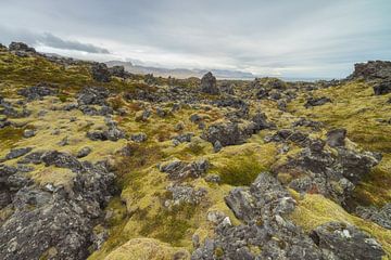 Lavafeld - Hellnar (Island) von Marcel Kerdijk