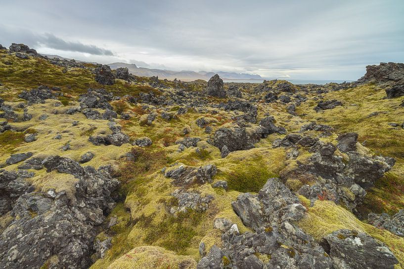 Lava field - Hellnar (Iceland) by Marcel Kerdijk