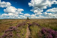 Heide en Wolken