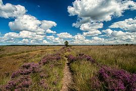 Landes et nuages sur Martin Smit