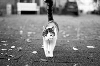 I look at you