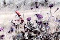 Wilde bloemen weide aquarel schilderij van Patricia Piotrak thumbnail