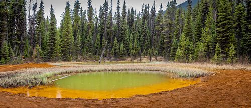 Een van de Paint Pots in Kootenay Nationaal Park, Canada