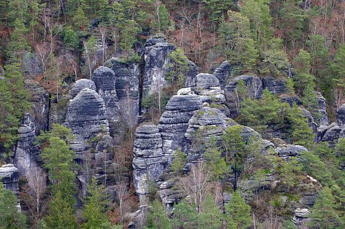 Elbe Sandstone Mountains