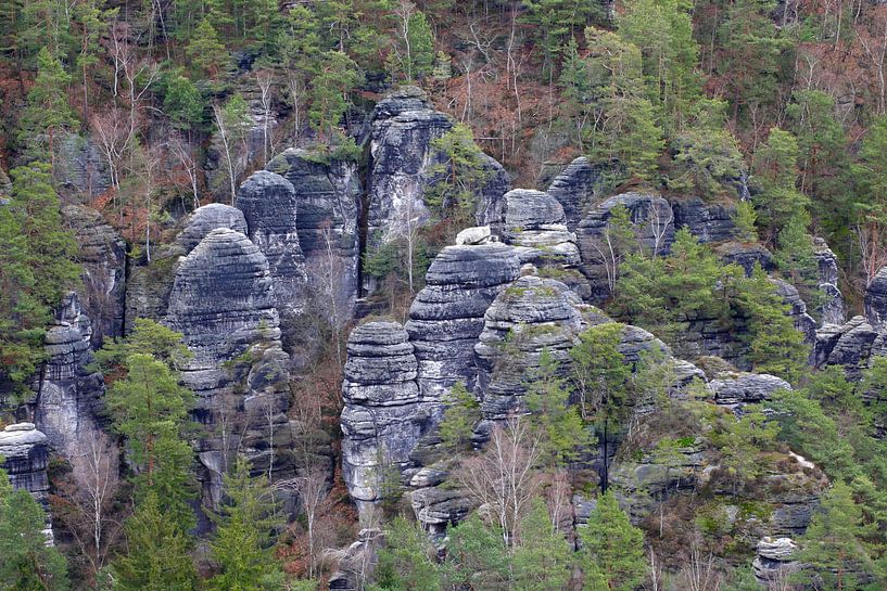 Elbe Sandstone Mountains by Thomas Jäger