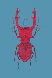 Stiche - Roter Hirschkäfer von > VrijFormaat <