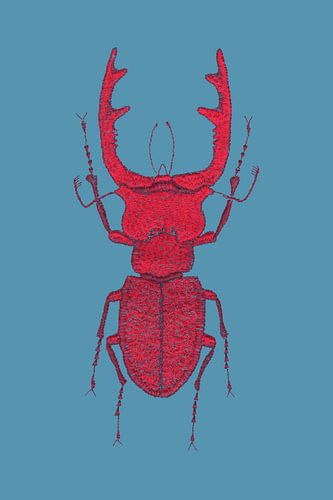 Points de suture - Lucane cerf-volant Rouge