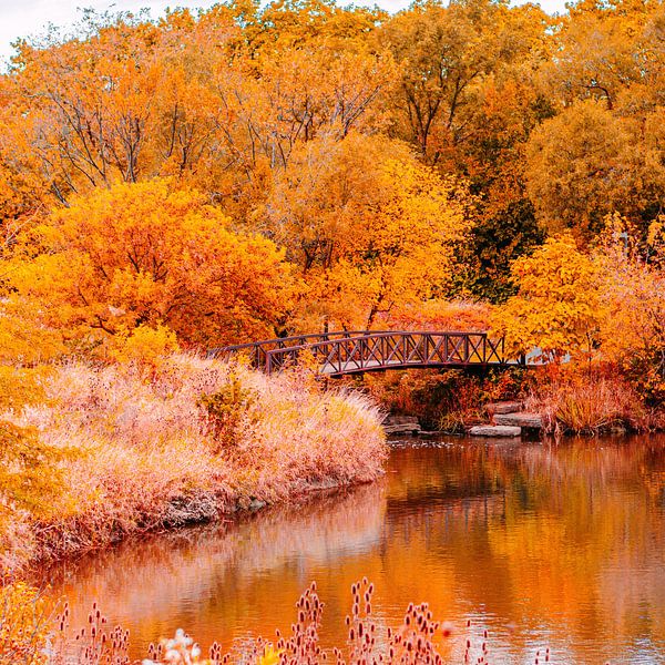 Autumn by Gabi Siebenhühner