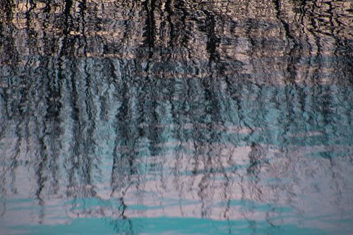 Die Wurzeln des Lebens