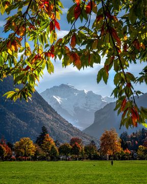 Autumn in Interlaken, Switzerland with Colourful Foliage Framing the Majestic Alps van Arda Acar