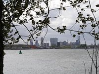 Rotterdam