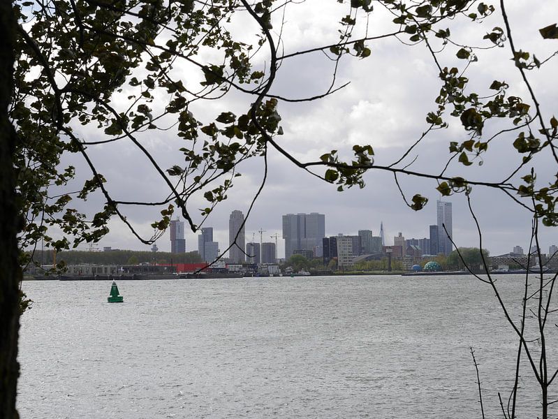 Rotterdam van Marco van't Woudt