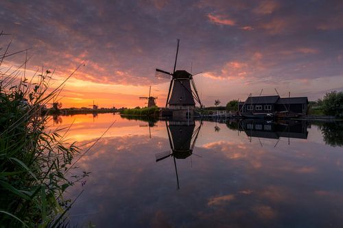 Silence of the evening