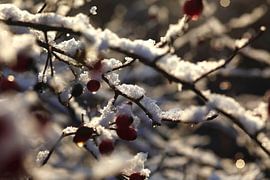 Wintertime by Thomas Jäger