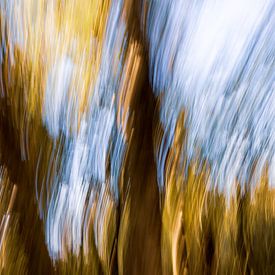 Bewgende bomen van Jakob Huizen van