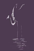 Flamingo Kunst Variation