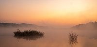 zonsopgang, landschap