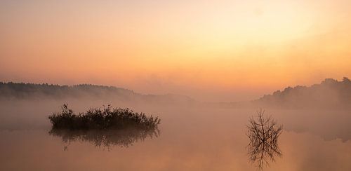 zonsopgang, landschap