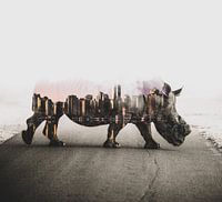 Rhino city
