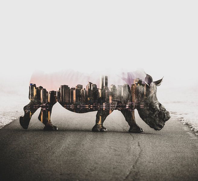Nashorn-Stadt von Stefan den Engelsen