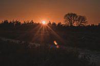 Zonsondergang Sallandse Heuvelrug van BY MEAGAN thumbnail