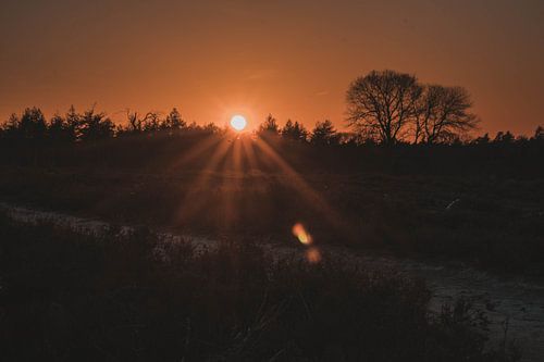 Coucher de soleil à Sallandse Heuvelrug