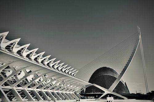Palau des Artes in Valencia