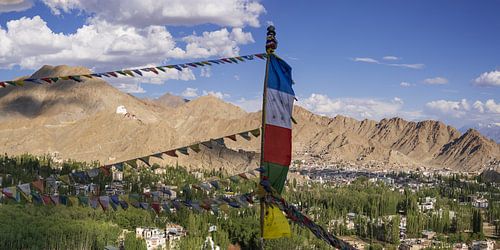 Gebedsvlaggen boven Leh