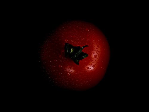 La tomate