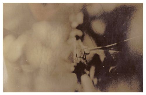 Agfa Brovira Satino _ 05