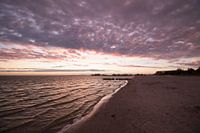 Friesland Art