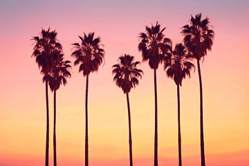 Palmbomen in Malibu van Philippe HUGONNARD