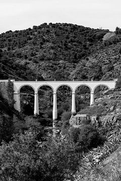 Brücke über das Gaudiana-Tal, Portugal von Femke Ketelaar