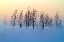 Winter by Volker Banken