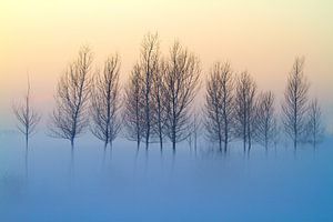 Hiver sur Volker Banken