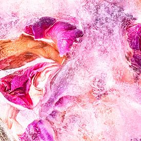 Rose petals by Monika Scheurer