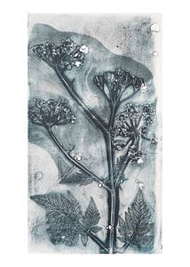 Botanischer Print Wiesenkerbel von Angela Peters