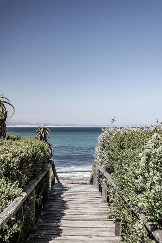 Tranquillité en bord de mer