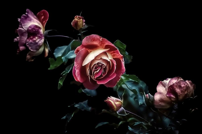 Enchanted Roses by Marlika Art