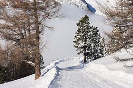 Ski piste Zwitserland von Yannick  van Loon