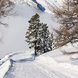 Ski piste Zwitserland van Yannick  van Loon