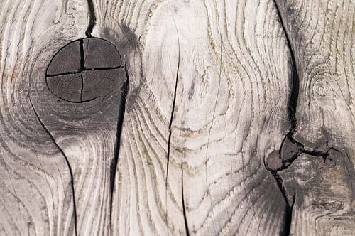 Hout