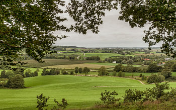 Paysage typique du sud du Limbourg près de Vaals