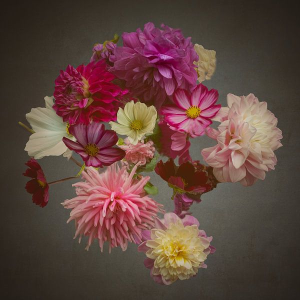 Portrait de fleur (rose dahlia, carré) par Ineke VJ